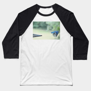 Bluejay in flight Baseball T-Shirt